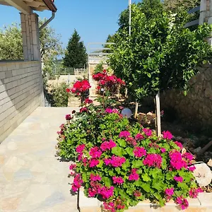 https://vila-milo.albaniahotels.org